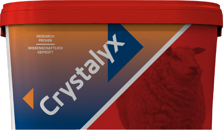 CRYSTALYX Extra Energy (Rot)